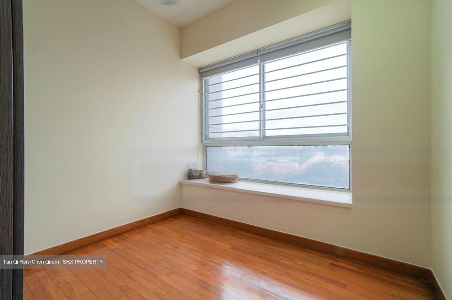 The Regency At Tiong Bahru (D3), Condominium #568196111